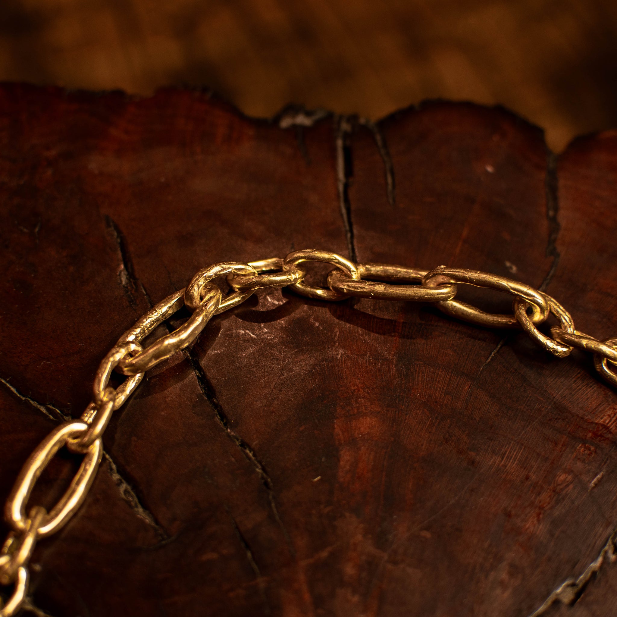 Gold Duo Link Necklace