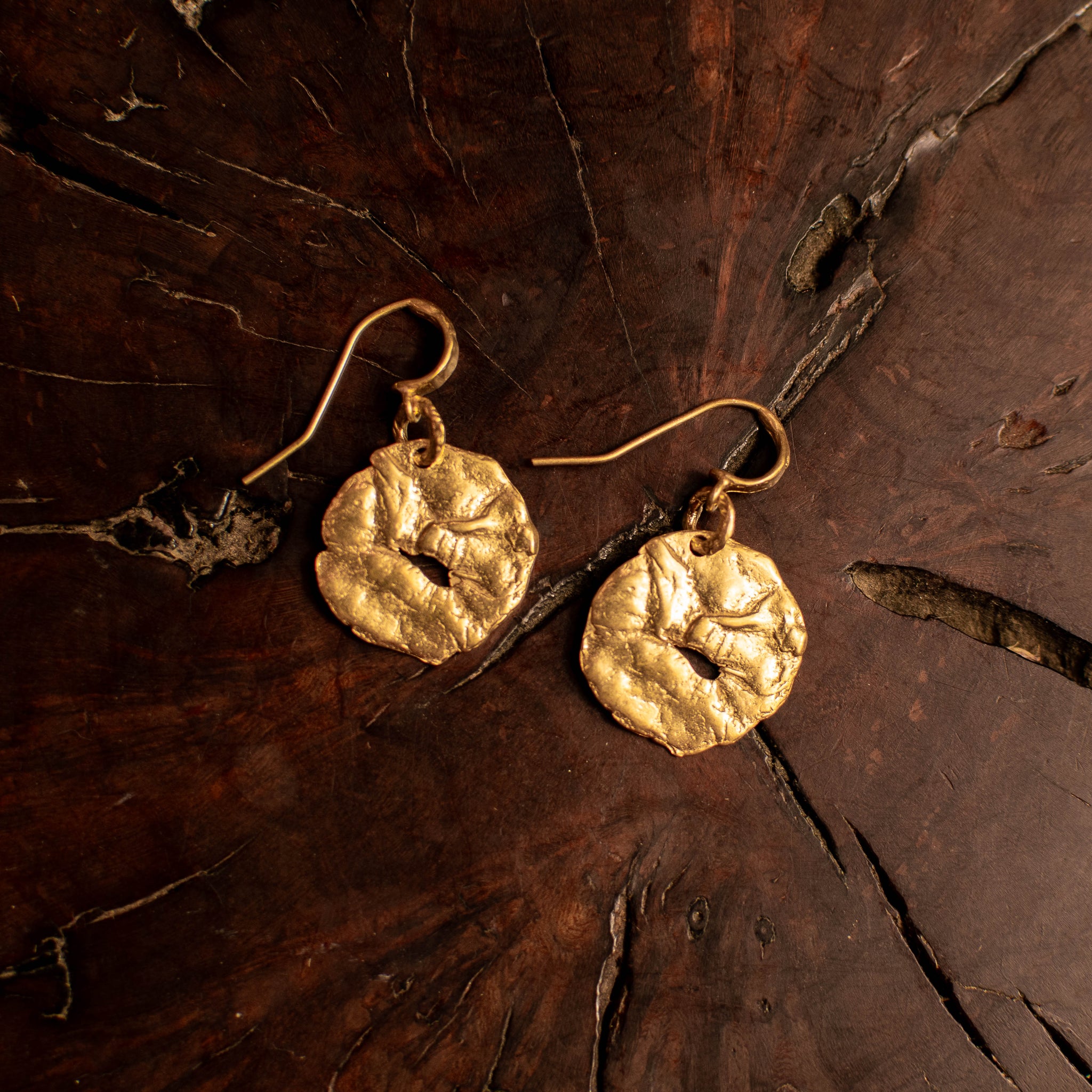 Gold Coin Earrings