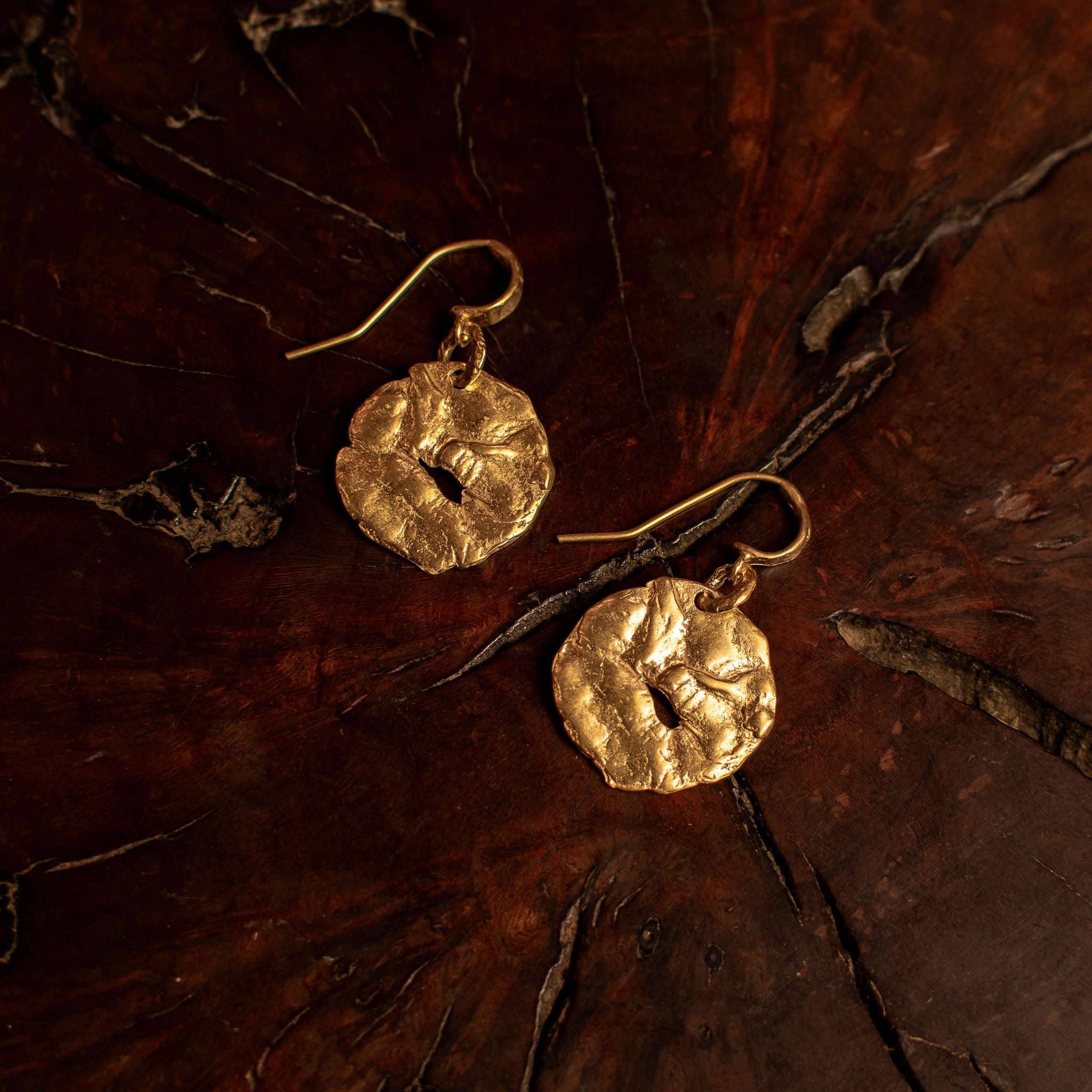 Gold Coin Earrings