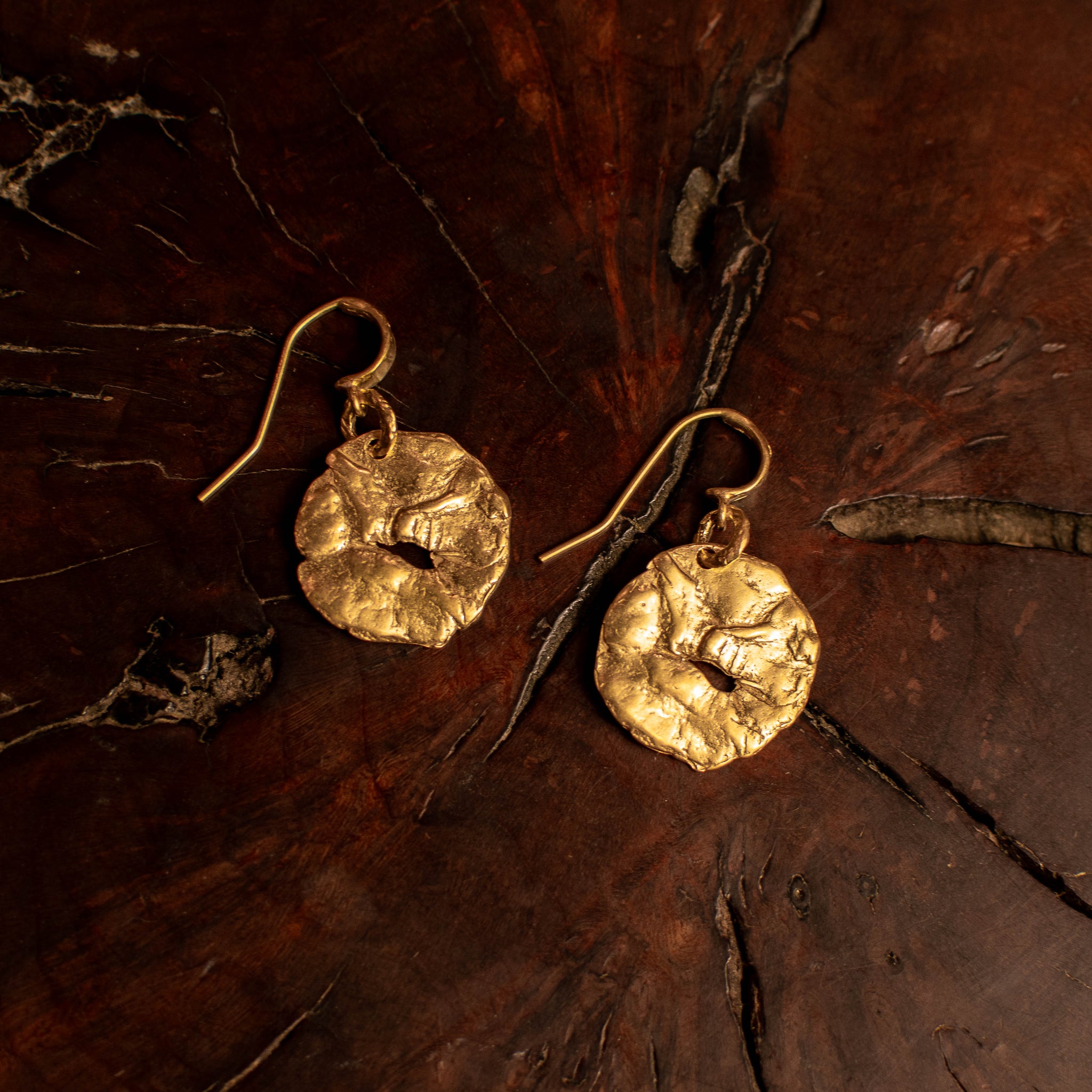Gold Coin Earrings
