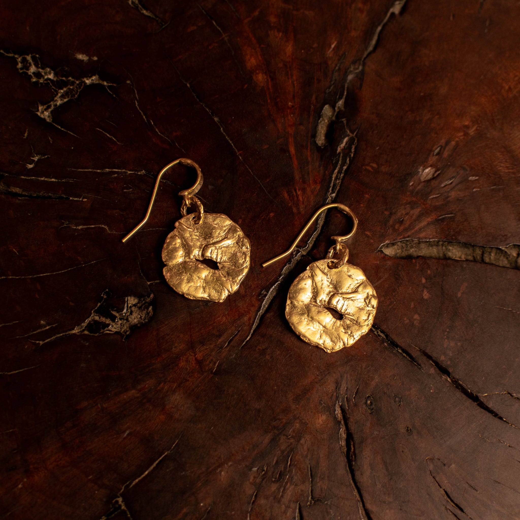 Gold Coin Earrings