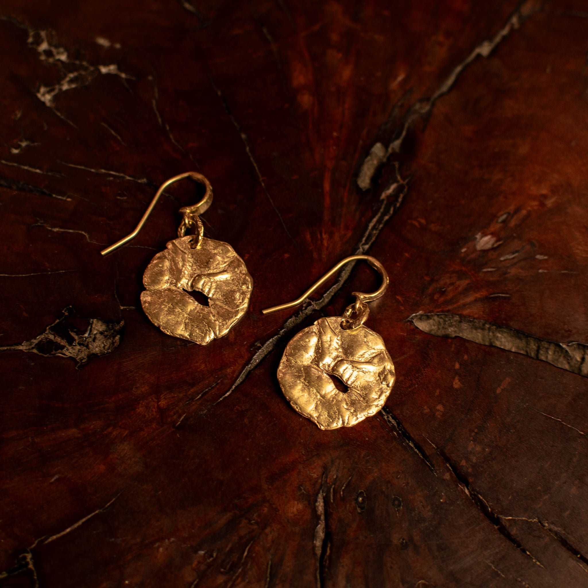 Gold Coin Earrings